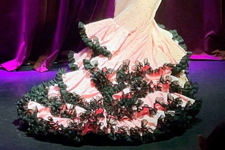 Vibrant Flamenco Show and Tapas Menu in Alicante