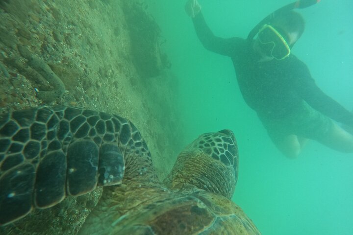 Snorkeling with Turtles in Mirissa