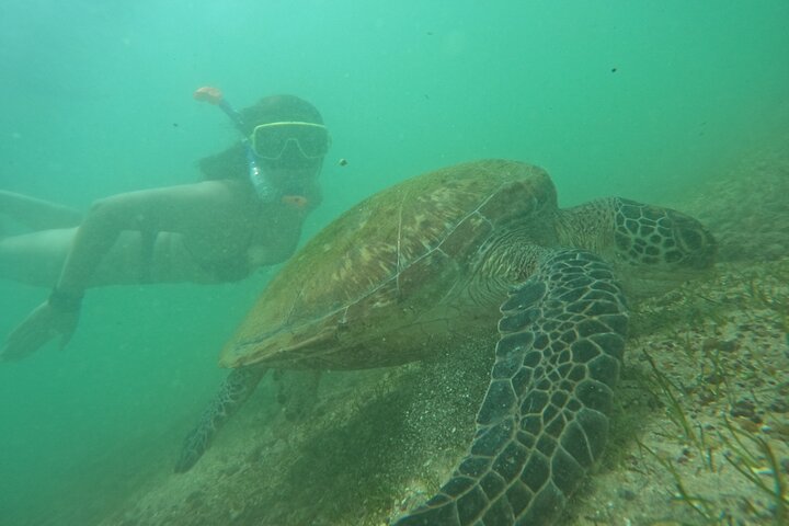 Snorkeling with Turtles in Mirissa