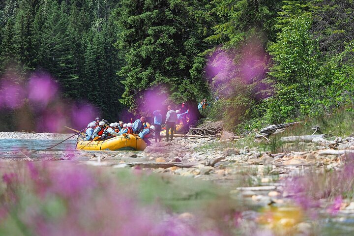 Rafting Adventure on the Kicking Horse River