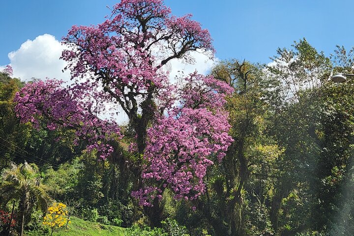 Discover amazing landscapes history and cuisine of Tucumán