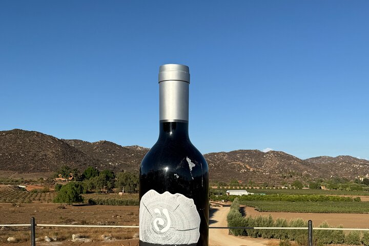 Private Deluxe Wine Tour to Valle de Guadalupe by Luxury Vehicle