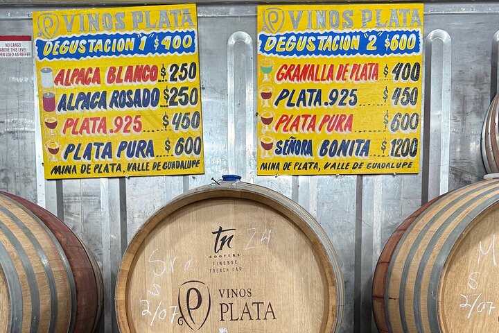 Private Deluxe Wine Tour to Valle de Guadalupe by Luxury Vehicle
