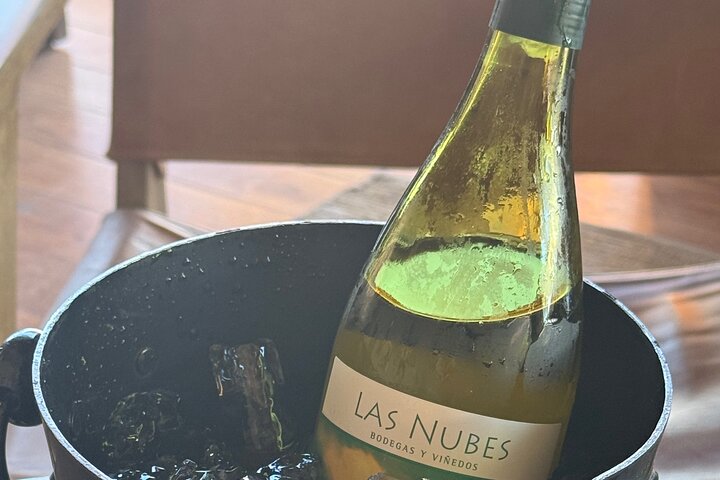 Private Deluxe Wine Tour to Valle de Guadalupe by Luxury Vehicle