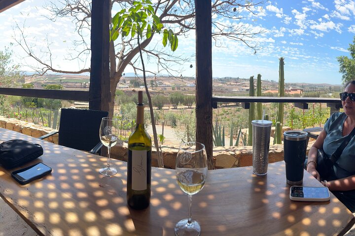 Private Deluxe Wine Tour to Valle de Guadalupe by Luxury Vehicle