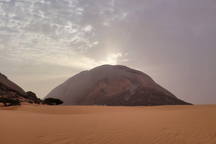 Adrar & Banc d'Arguin 10-Day Tour