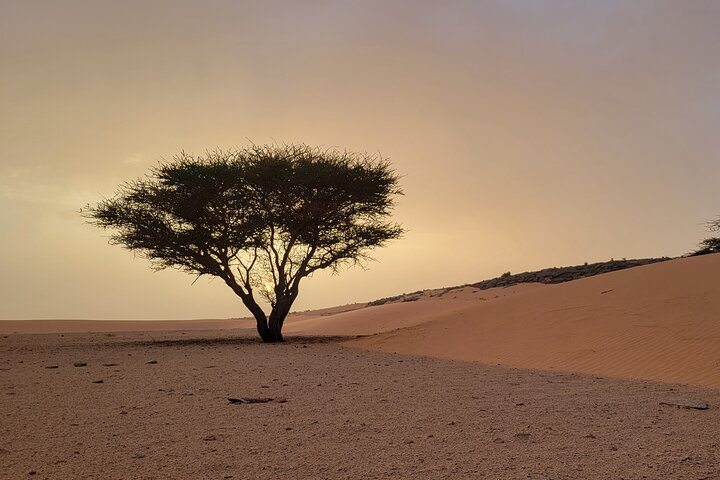 Adrar & Banc d'Arguin 10-Day Tour