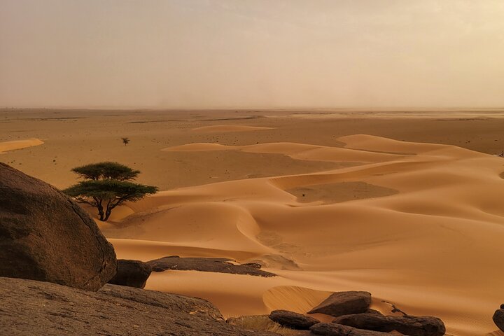 Adrar & Banc d'Arguin 10-Day Tour