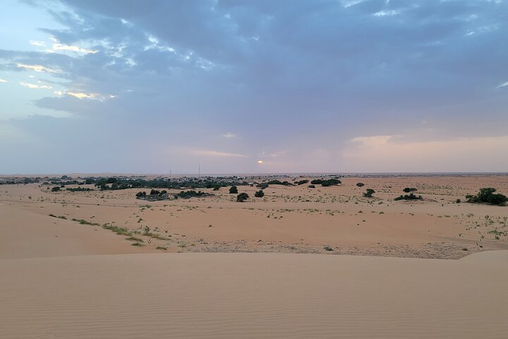 Adrar & Banc d'Arguin 10-Day Tour