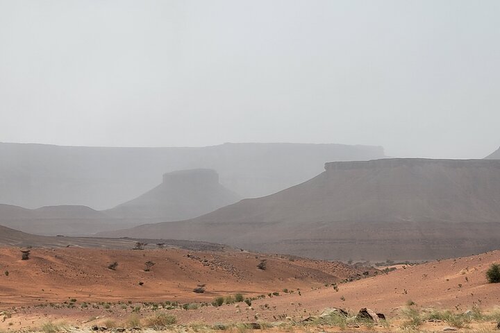 Adrar & Banc d'Arguin 10-Day Tour