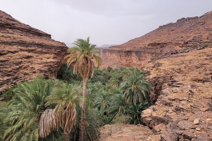 Adrar & Banc d'Arguin 10-Day Tour