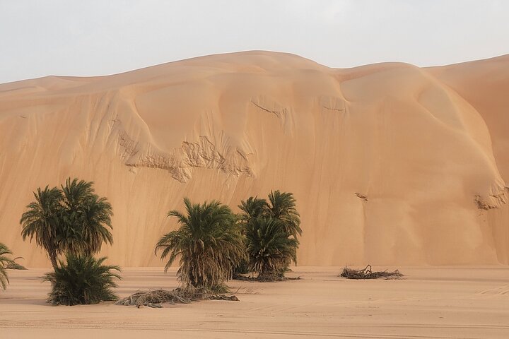 Adrar & Banc d'Arguin 10-Day Tour