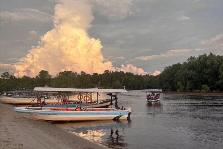 Bongawan River Cruise Proboscis Monkey, SkyMirror, Fireflies