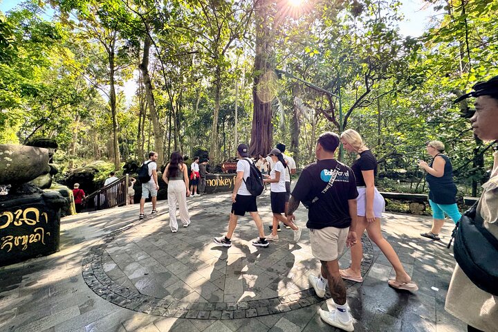 Discover The Best of Ubud: All-Inclusive and Private Guided Tour