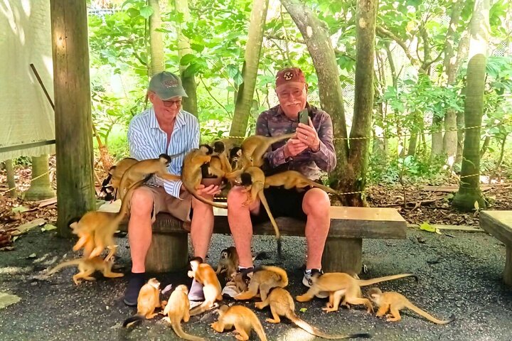 All-Inclusive Ishigaki Shore Excursion for Cruise Passengers