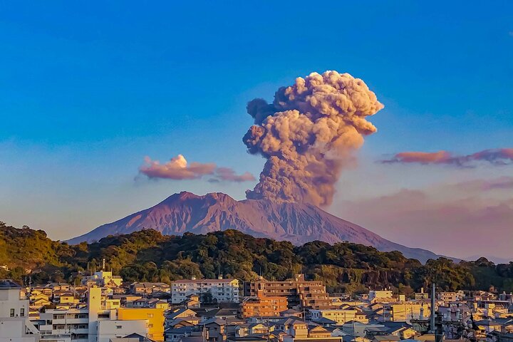 Kagoshima Shared Half-Day Tour (One-Way Transfer from Port)