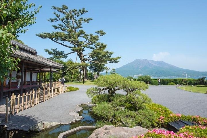 Kagoshima Shared Half-Day Tour (One-Way Transfer from Port)
