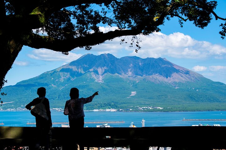 Kagoshima Shared Half-Day Tour (One-Way Transfer from Port)