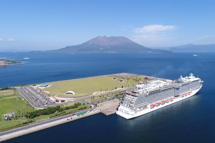 Kagoshima Shared Half-Day Tour (One-Way Transfer from Port)