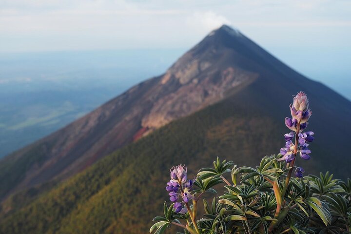 Acatenango Overnight Hike Multiday Tour