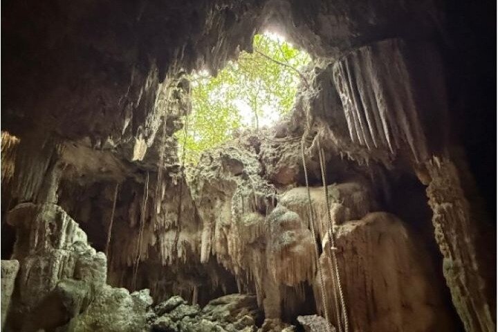 Stingrays, Starfish and Crystal Cave Adventure