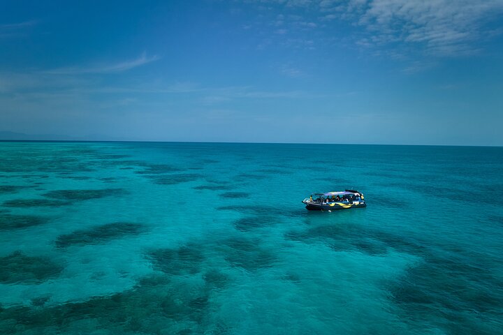 Cairns Half Day Tour a Great Barrier Reef Snorkeling Experience
