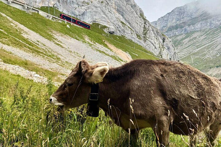 Mt. Pilatus & Lake Lucerne Cruise Small Group Tour | From Basel