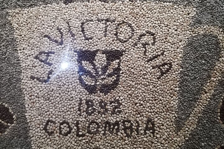 Private La Victoria Coffee Tour – Waterfalls & Minca