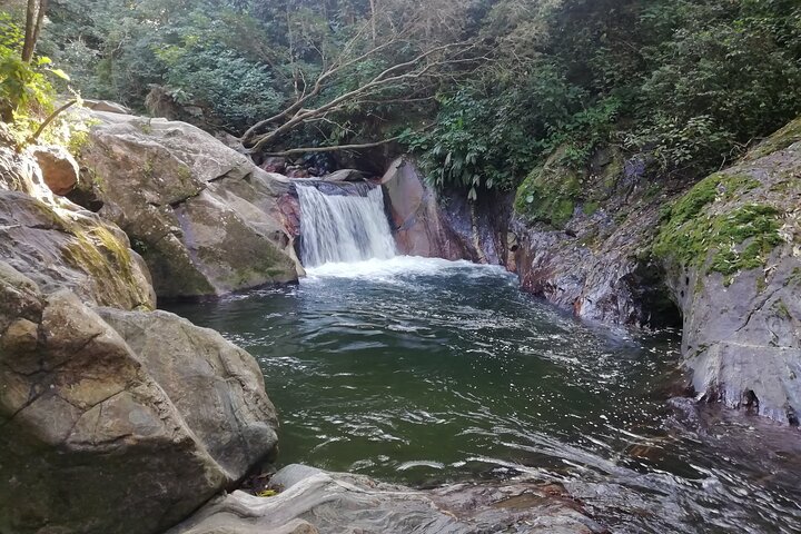 Private La Victoria Coffee Tour – Waterfalls & Minca