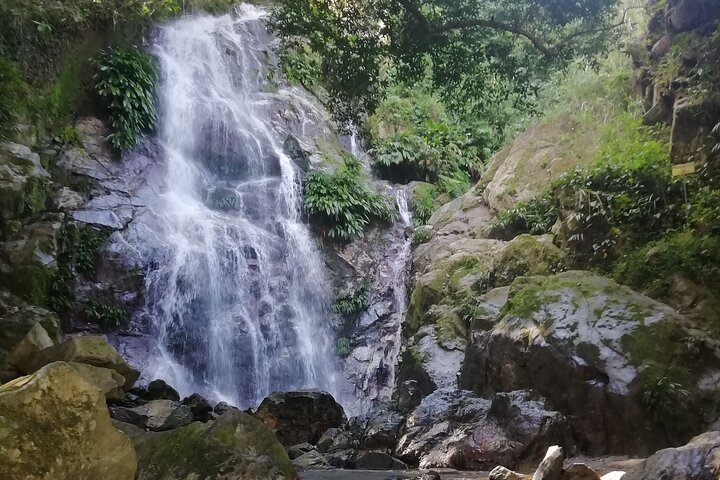 Private La Victoria Coffee Tour – Waterfalls & Minca