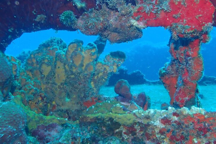 Anguilla Based:Scheduled 2-Tank Dive (Certified Divers)