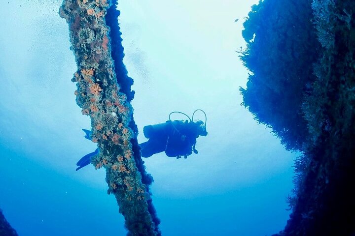 Anguilla Based:Scheduled 2-Tank Dive (Certified Divers)