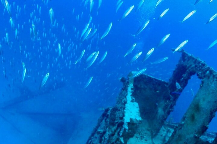Anguilla Based:Scheduled 2-Tank Dive (Certified Divers)