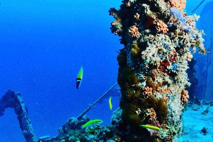 Anguilla Based:Scheduled 2-Tank Dive (Certified Divers)