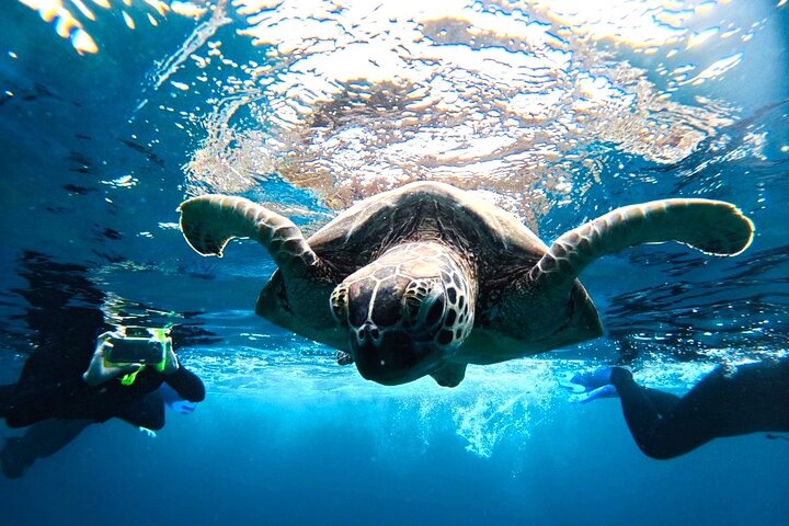 Okinawa Ishigaki Phantom Island and Blue Cave Snorkeling