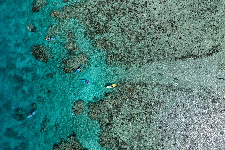 Captain Cook Cruises Fiji- All-inclusive Island & Reef Day Sail