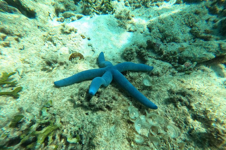 North Okinawa: Private Kayak & Snorkel Adventure