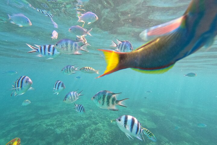 North Okinawa: Private Kayak & Snorkel Adventure