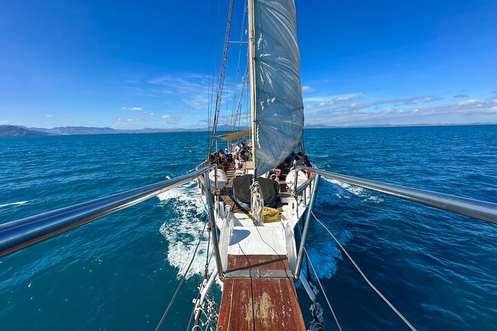 Captain Cook Cruises Fiji- All-inclusive Island & Reef Day Sail