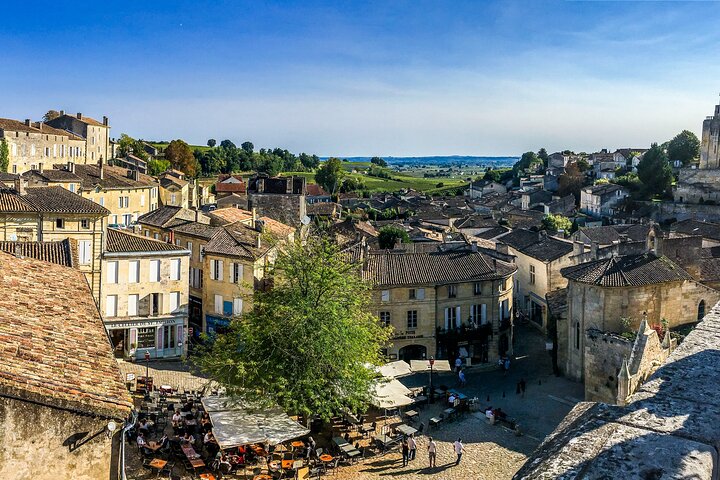 Medoc or Saint Emilion Wine Tasting and Chateau from Bordeaux