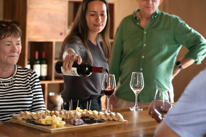 Medoc or Saint Emilion Wine Tasting and Chateau from Bordeaux