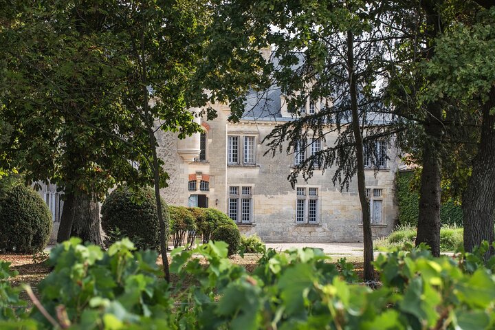 Medoc or Saint Emilion Wine Tasting and Chateau from Bordeaux