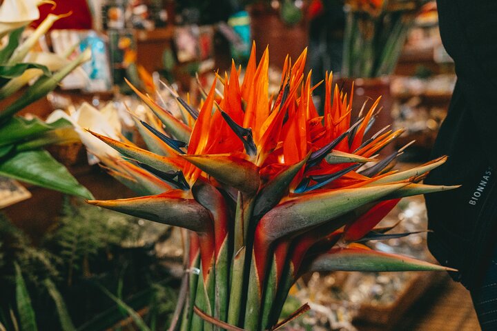 Taste Funchal: food, wine & cultural tour