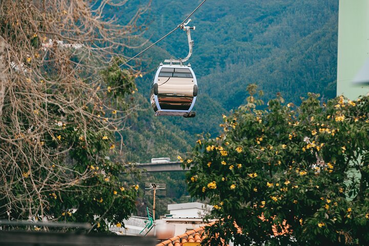 Taste Funchal: food, wine & cultural tour