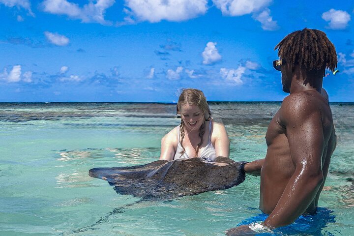 Family-Friendly Stingray City Tour – Ages 0+