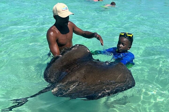 Family-Friendly Stingray City Tour – Ages 0+