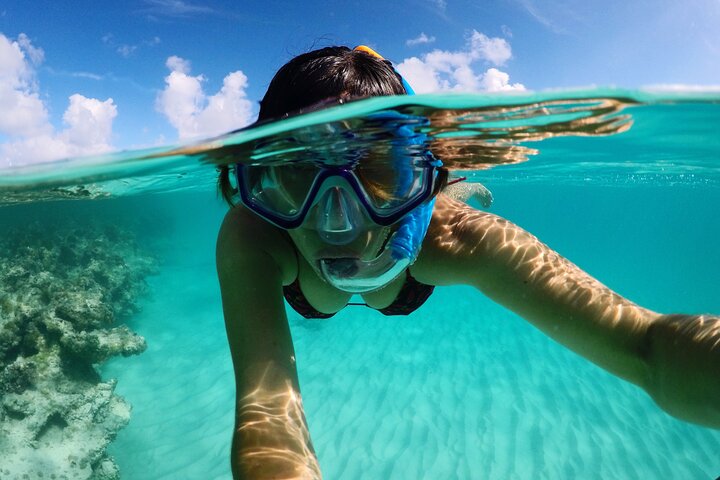 Family-Friendly Stingray City Tour – Ages 0+