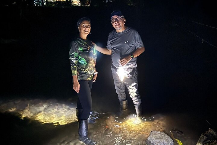 Night Walk in Puerto Jimenez Wildlife and Nature