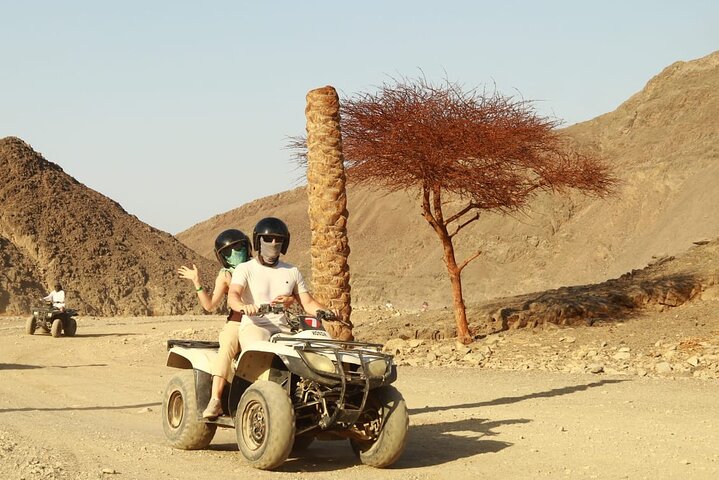 Marsa Alam Jeep: Desert Safari, Quad, Camel, Dinner & Stargazing