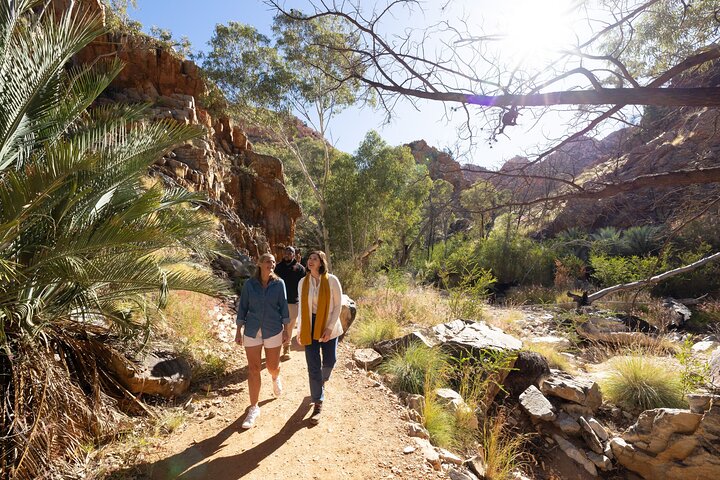 West MacDonnell Ranges & Standley Chasm Day Trip from Alice Springs